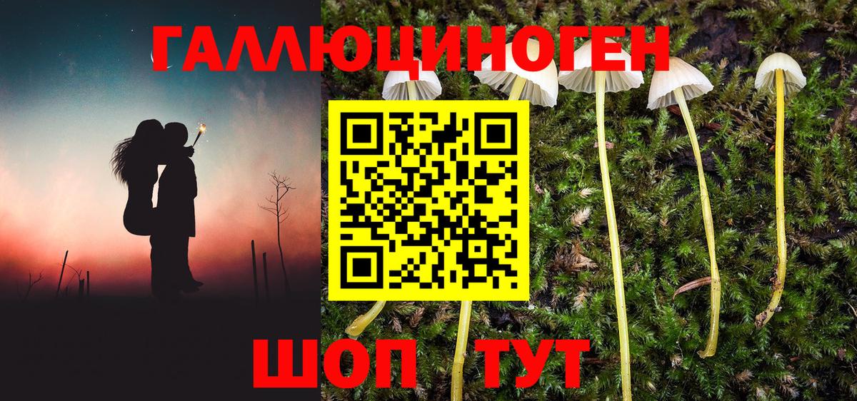 Псилоцибиновые грибы GOLDEN TEACHER Маркс