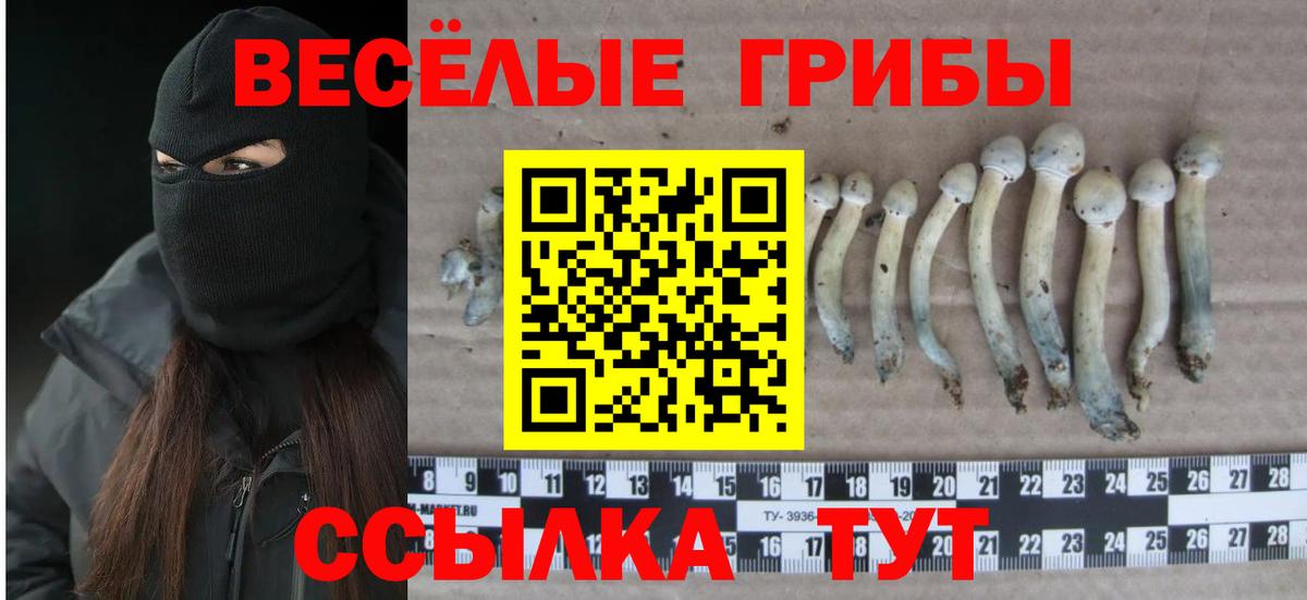 Маркс  Псилоцибиновые грибы Psilocybe  Вход с VPN 
